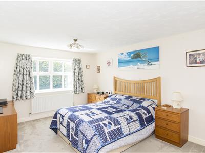 Picture 20